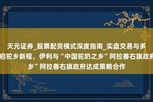 天元证券_股票配资模式深度指南_实盘交易与多倍杠杆讲解 共启驼乡新程，伊利与“中国驼奶之乡”阿拉善右旗政府达成策略合作