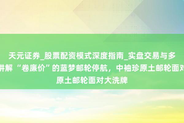 天元证券_股票配资模式深度指南_实盘交易与多倍杠杆讲解 “卷廉价”的蓝梦邮轮停航，中袖珍原土邮轮面对大洗牌