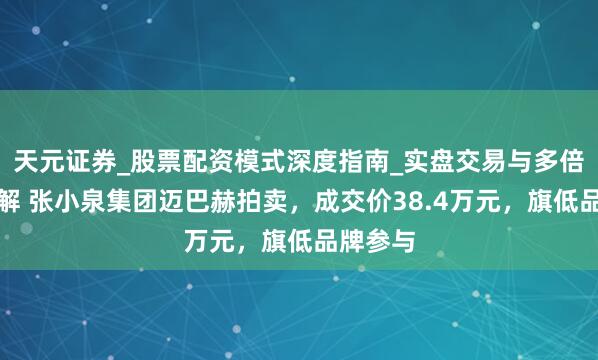 天元证券_股票配资模式深度指南_实盘交易与多倍杠杆讲解 张小泉集团迈巴赫拍卖，成交价38.4万元，旗低品牌参与