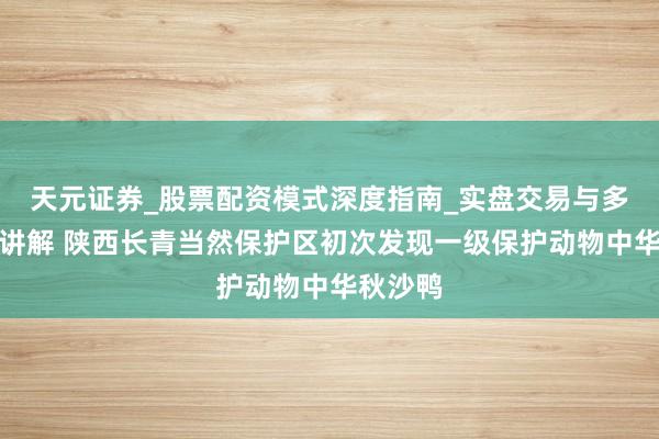 天元证券_股票配资模式深度指南_实盘交易与多倍杠杆讲解 陕西长青当然保护区初次发现一级保护动物中华秋沙鸭