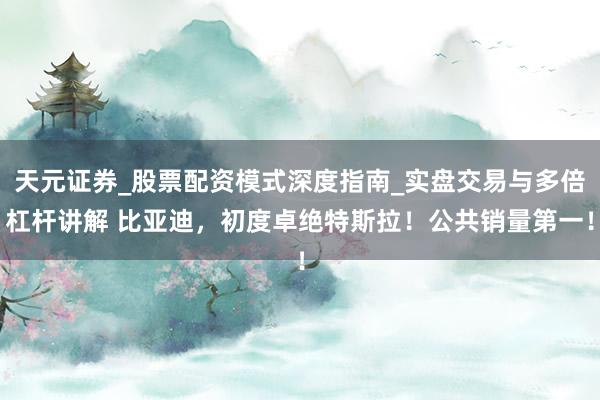 天元证券_股票配资模式深度指南_实盘交易与多倍杠杆讲解 比亚迪,初度卓绝特斯拉!公共销量第一!