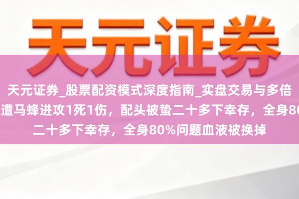 天元证券_股票配资模式深度指南_实盘交易与多倍杠杆讲解 广西佳偶遭马蜂进攻1死1伤，配头被蛰二十多下幸存，全身80%问题血液被换掉