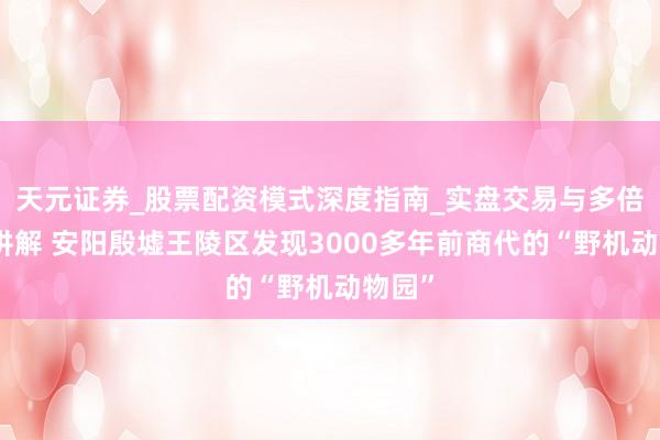 天元证券_股票配资模式深度指南_实盘交易与多倍杠杆讲解 安阳殷墟王陵区发现3000多年前商代的“野机动物园”