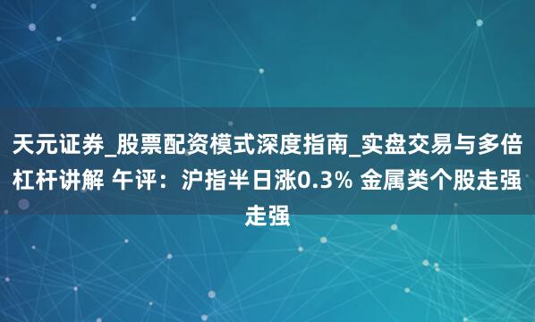 天元证券_股票配资模式深度指南_实盘交易与多倍杠杆讲解 午评：沪指半日涨0.3% 金属类个股走强