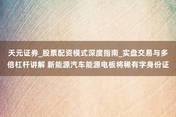天元证券_股票配资模式深度指南_实盘交易与多倍杠杆讲解 新能源汽车能源电板将稀有字身份证