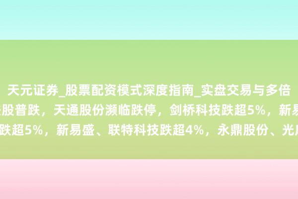 天元证券_股票配资模式深度指南_实盘交易与多倍杠杆讲解 A股CPO想法股普跌，天通股份濒临跌停，剑桥科技跌超5%，新易盛、联特科技跌超4%，永鼎股份、光库科技跌超3%