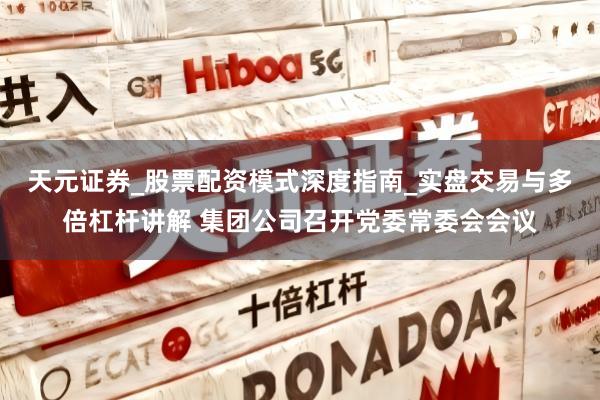 天元证券_股票配资模式深度指南_实盘交易与多倍杠杆讲解 集团公司召开党委常委会会议