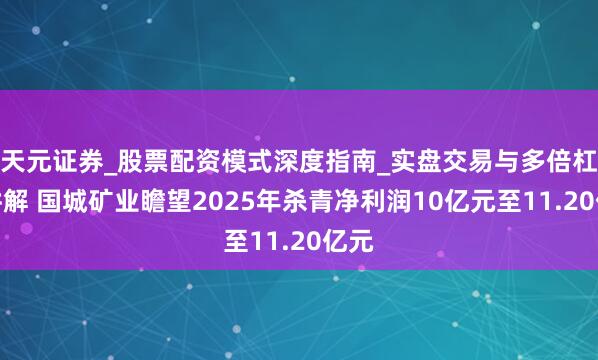 天元证券_股票配资模式深度指南_实盘交易与多倍杠杆讲解 国城矿业瞻望2025年杀青净利润10亿元至11.20亿元